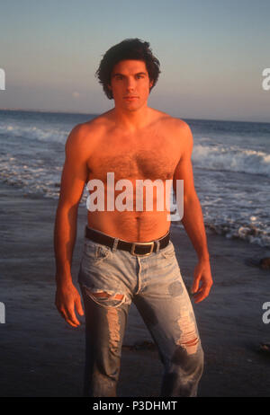 Malibu, Ca - October 24: (exclusive) Actor Paul Johansson Poses During 