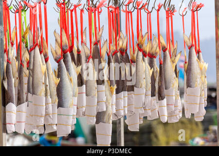 Sun dried salted fish hangs on wire Stock Photo