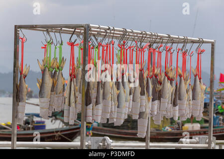 Sun dried salted fish hangs on wire Stock Photo
