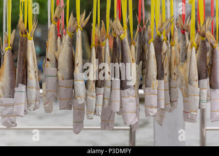 Sun dried salted fish hangs on wire Stock Photo