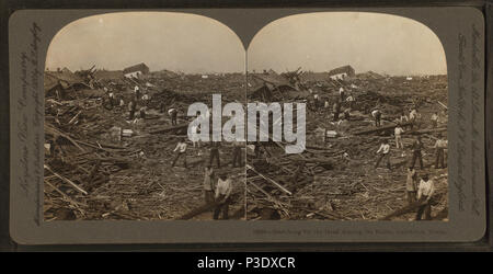 266 Searching for the Dead among the Ruins, Galveston, Texas, U.S.A., from Robert N. Dennis collection of stereoscopic views 2 Stock Photo