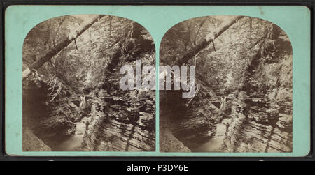 269 Shadow Gorge, Freer's Glen, Schuyler Co. N. Y., from Robert N. Dennis collection of stereoscopic views Stock Photo
