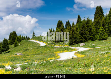 idyllic mountain landscape in the summertime with a gravel road Stock Photo