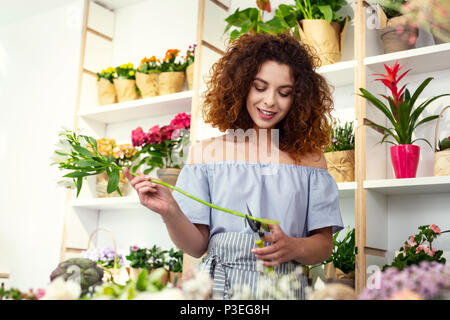 Nice young woman working Stock Photo