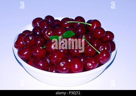 Pile of ripe, dark sour cherries in a white bowl on white background Stock Photo