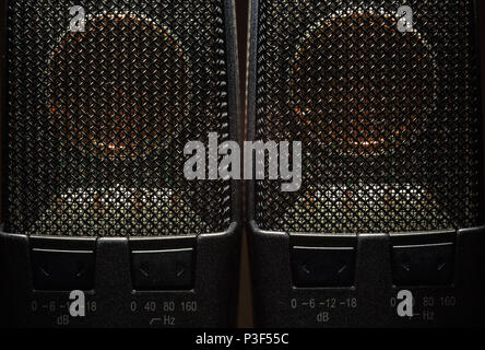 Closeup view on modern condenser microphone, membrane and pattern details. Stock Photo