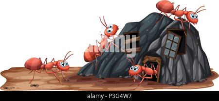 Worker Ants on White Background illustration Stock Vector