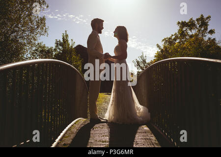 Bride and groom holding hands on the footbridge Stock Photo