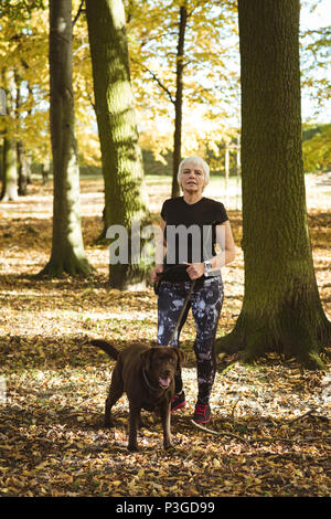 Senior woman walking in the park with a dog Stock Photo