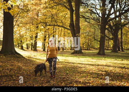 Senior woman walking in the park with her pet dog Stock Photo