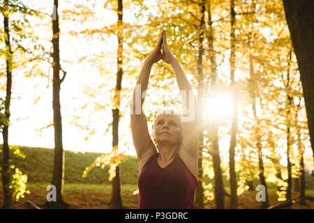 Senior woman practicing yoga in a park Stock Photo