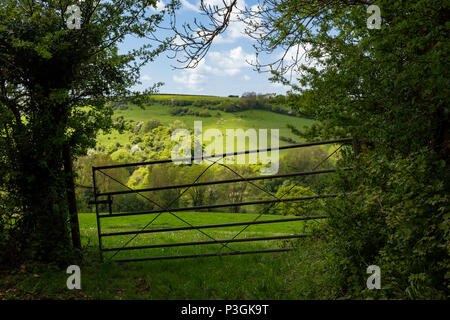 A metal bar gate leading onto lush green countryside. Stock Photo