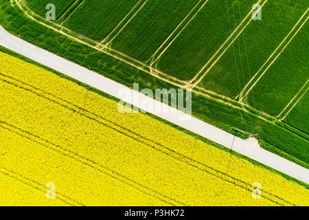 Rapsfeld von oben, Bayern, Deutschland Stock Photo