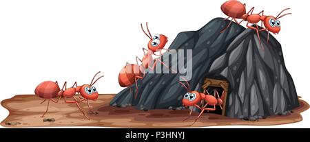 A Ants Family Living in Hole illustration Stock Vector