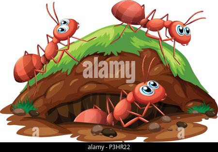 Worker Ants on White Background illustration Stock Vector