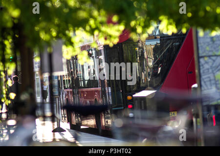 dappled sunlight through green leaves on stoke newington church street, hackney london with bus reflections Stock Photo