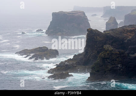 Sea stacks and cliffs in the mist at Eshaness / Esha Ness, peninsula in Northmavine on the island of Mainland, Shetland Islands, Scotland, UK Stock Photo