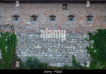 Large stone wall of an ancient castle, overgrown with massive ivy branches in Lviv, Ukraine Stock Photo
