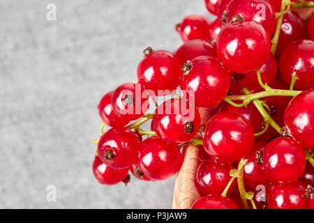 Close up picture of ripe juicy red currant berries, shallow depth of field. Stock Photo