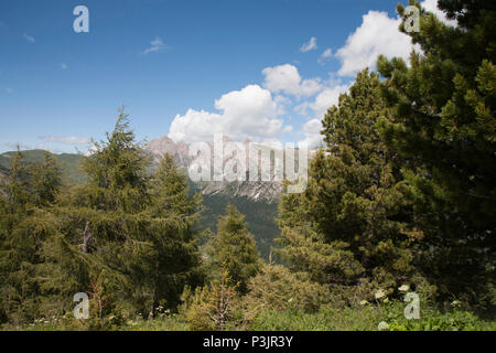 View across the Val Gardena from woodland below Ciampinoi  Selva Val Gardena Dolomites Italy