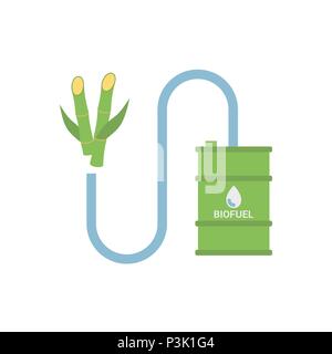 Biofuel - Biomass Ethanol, Made from Sugarcane. Alternative Environmental Friendly Fuel. Isolated on White Background. Trendy Flat Style. Stock Vector
