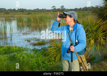 Birding, Indian River County Wetlands, Vero Beach, Florida Stock Photo