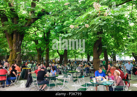 Salzburg: brewery restaurant beer garden Augustiner Bräustübl Mülln, blossoming chestnut trees in Austria, Salzburg, Stock Photo