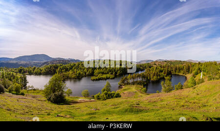 Tarn Hows, the Lake District National Park, the United Kingdom
