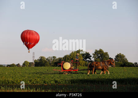 Amish Farmer working in field while hot air balloon rising in background, Lancaster County, Pennsylvania, USA Stock Photo