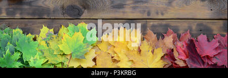 Composition of many yellowing fallen autumn leaves on a background surface of natural wooden boards of dark brown color Stock Photo