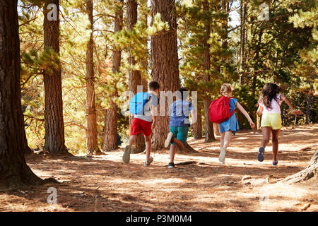 Children Running Along Forest Trail On Hiking Adventure Stock Photo