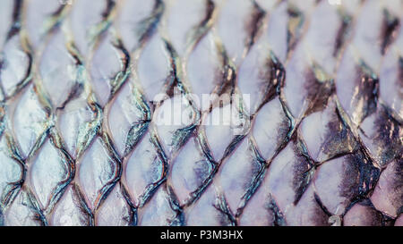 closeup of fish skin after the scales were removed Stock Photo