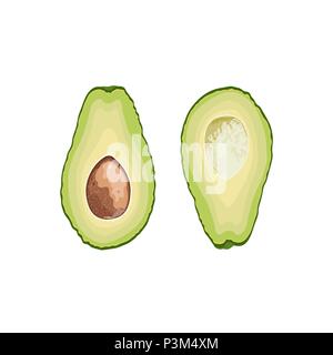 Vector fruit avocado. Avocado cut in half with a stone Stock Vector