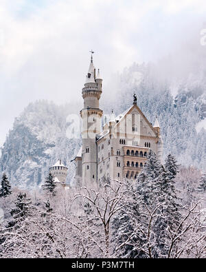 Neuschwanstein Castle in the snow, Schwangau, Bavaria, Germany Stock Photo