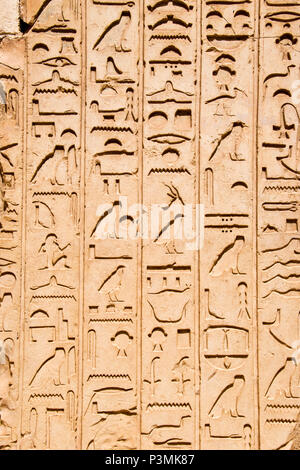 Egyptian hieroglyphs carved in stone at the ruins of Abu on Elephantine Island, Aswan, Egypt. Stock Photo