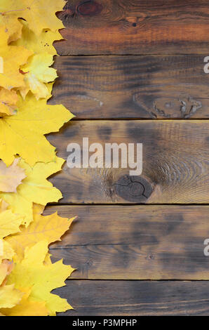 Composition of many yellowing fallen autumn leaves on a background surface of natural wooden boards of dark brown color Stock Photo