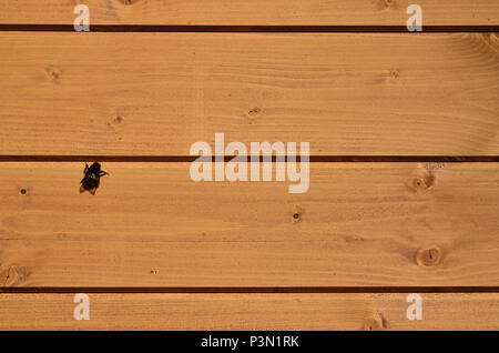 The texture of weathered wooden wall. Aged wooden plank fence of horizontal flat boards  with small bee sitting on them Stock Photo