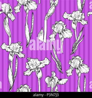 Iris violet pattern Stock Vector
