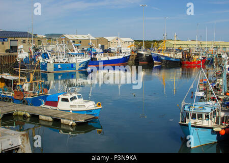 7 June 2018 Various colourful fishing trawlers tied up in the calm waters of Kilkeel Harbour in County Down Northern Ireland Stock Photo