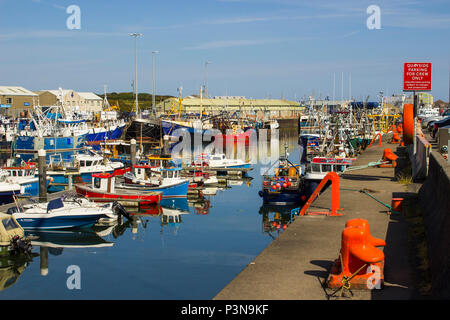 7 June 2018 Various colourful fishing trawlers tied up in the calm waters of Kilkeel Harbour in County Down Northern Ireland Stock Photo