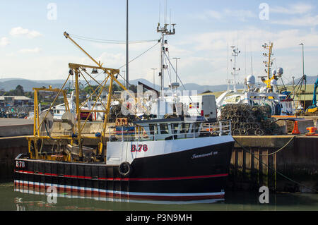 7 June 2018 Various colourful fishing trawlers tied up in the calm waters of Kilkeel Harbour in County Down Northern Ireland Stock Photo