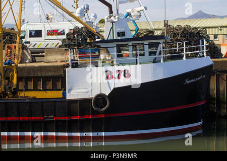 7 June 2018 Various colourful fishing trawlers tied up in the calm waters of Kilkeel Harbour in County Down Northern Ireland Stock Photo