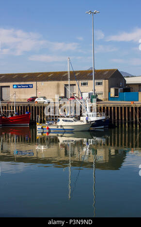 7 June 2018 Various colourful fishing trawlers tied up in the calm waters of Kilkeel Harbour in County Down Northern Ireland Stock Photo