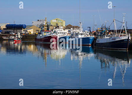 7 June 2018 Various colourful fishing trawlers tied up in the calm waters of Kilkeel Harbour in County Down Northern Ireland Stock Photo