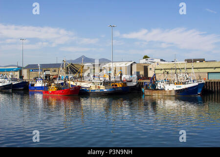 7 June 2018 Various colourful fishing trawlers tied up in the calm waters of Kilkeel Harbour in County Down Northern Ireland Stock Photo