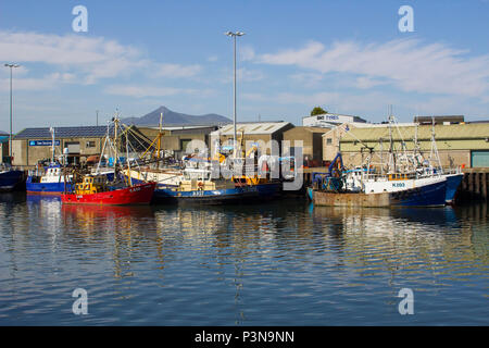 7 June 2018 Various colourful fishing trawlers tied up in the calm waters of Kilkeel Harbour in County Down Northern Ireland Stock Photo