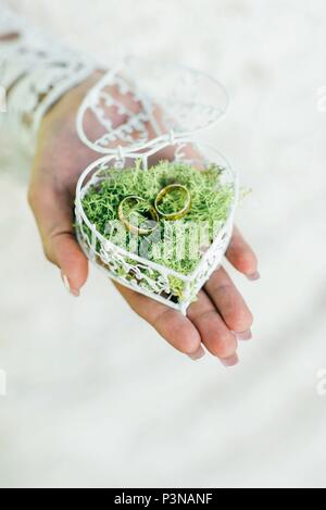 Wedding day. Wedding rings in a box filled with moss on the green grass Stock Photo