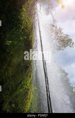 Water cascading over a cliff at the Millaa Milla waterfall in Tropical North Queensland Australia near Cairns Stock Photo
