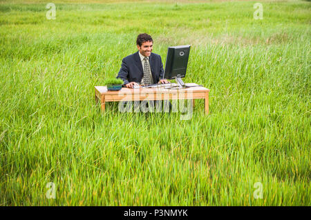 A businessman sitting at a desk in a green grassy field working on a computer. Green business concept. Stock Photo