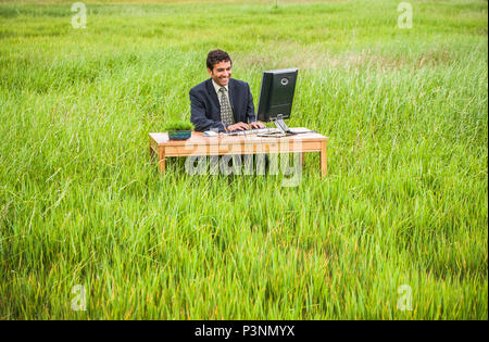 A businessman sitting at a desk in a green grassy field working on a computer. Green business concept. Stock Photo